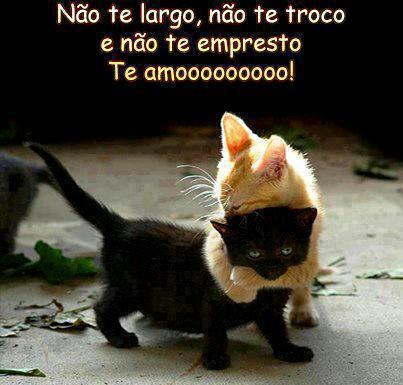 EDSON ELIAS TIMBETA (@edsonelias352) on Twitter photo 