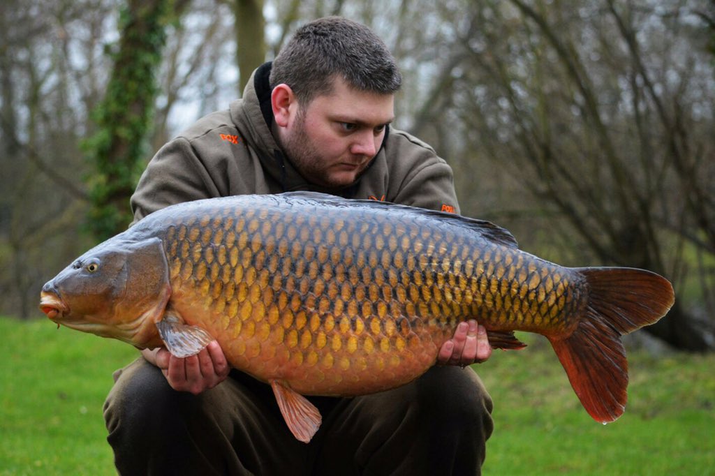 rkleisure's tweet photo. Congrats Luke Meyers! 06th Feb 2016-A new lake record at #Horton #BoatPool with this beauty at 44lb 6oz #RKLeisure https://t.co/za6drupR7x