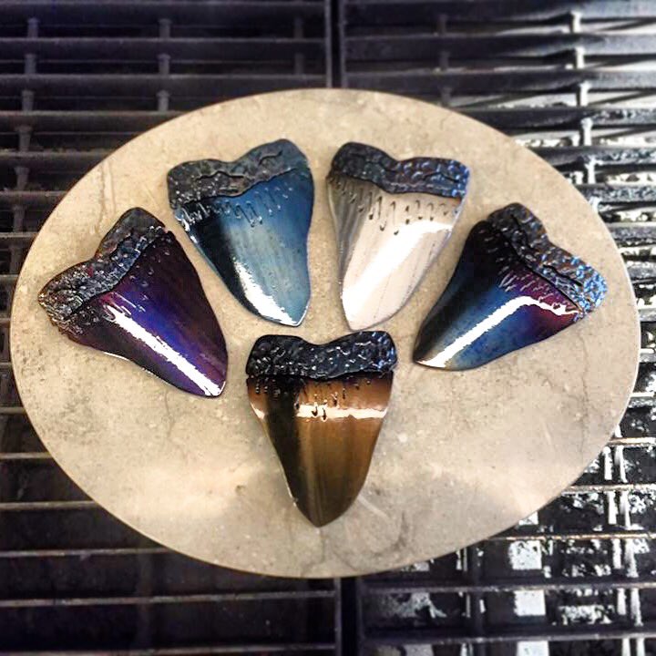 Latest batch of #megalodon tooth bottle openers!