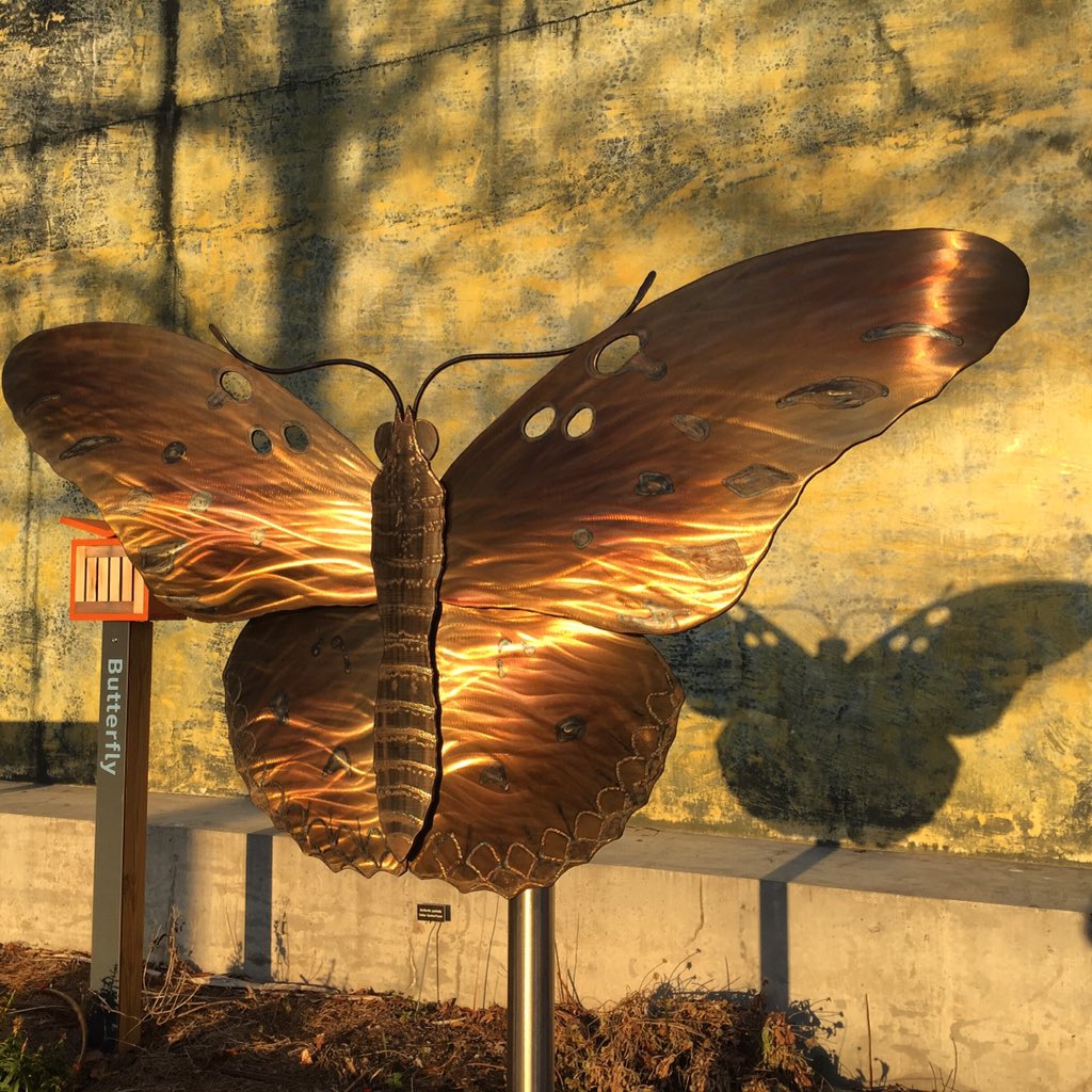 This 4ft tall #butterfly with a 5ft wingspan has been installed <a href="/SCaquarium/">South Carolina Aquarium</a> - photo op 4 kids!