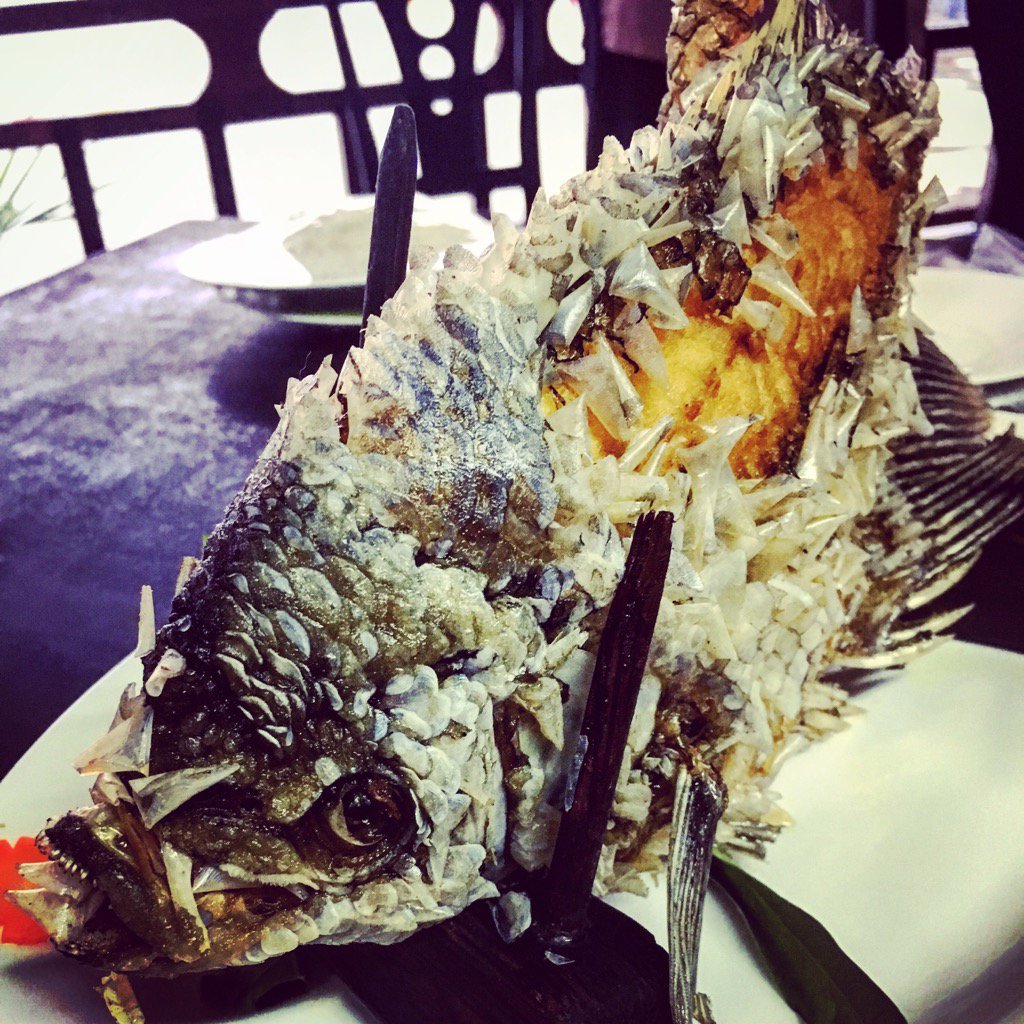 Ken Ochiai メコン川でタカみやいにかっこいい魚を食す 象耳魚というらしいけど 見かけの割に淡白で ンゴン ベトナム語で美味しい T Co 2wtvdbfznq