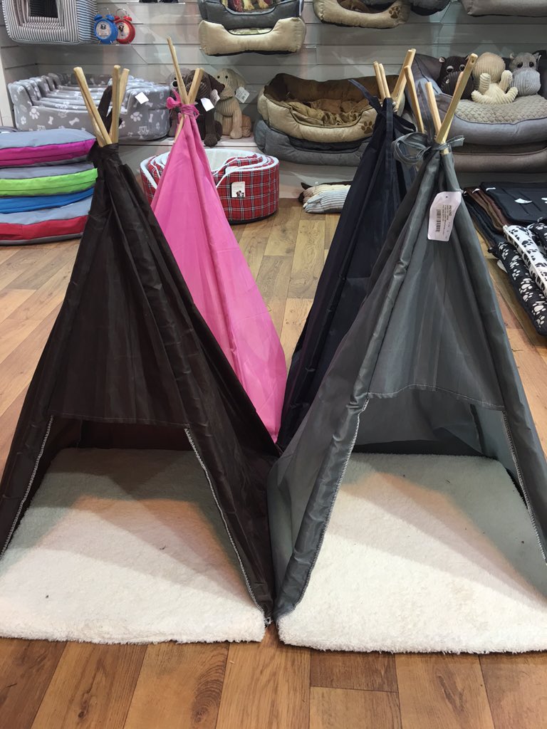 Spring & Autumn Fair tweet media