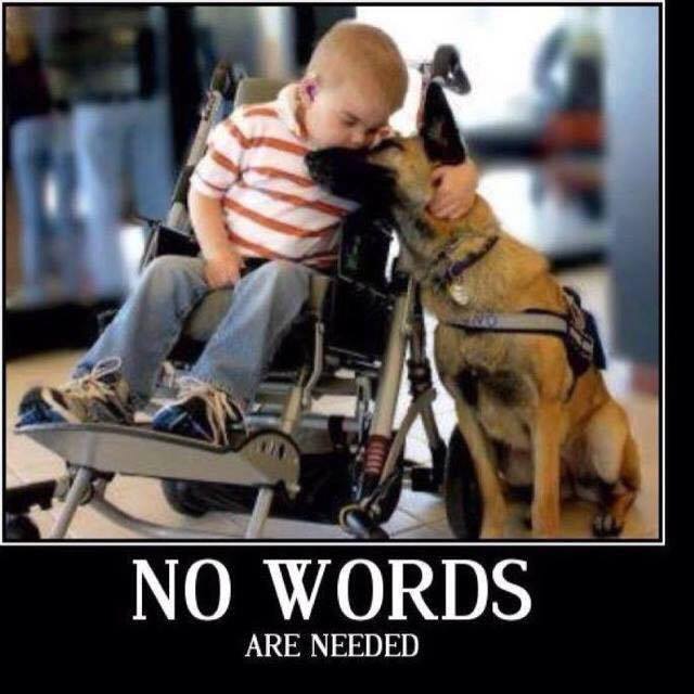 BestDog_Food's tweet photo. No Words are Needed!
#Freshpet #Dogs #Doglovers https://t.co/2K2dasol1P
