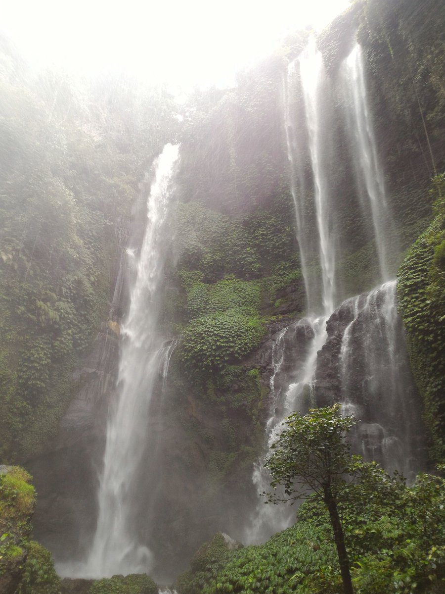 TrvBackpacker's tweet photo. Visit Sekumpul Waterfall in North Bali with Backpack Bali Tour, WA : +6281353333077 https://t.co/Kdakak4Nug