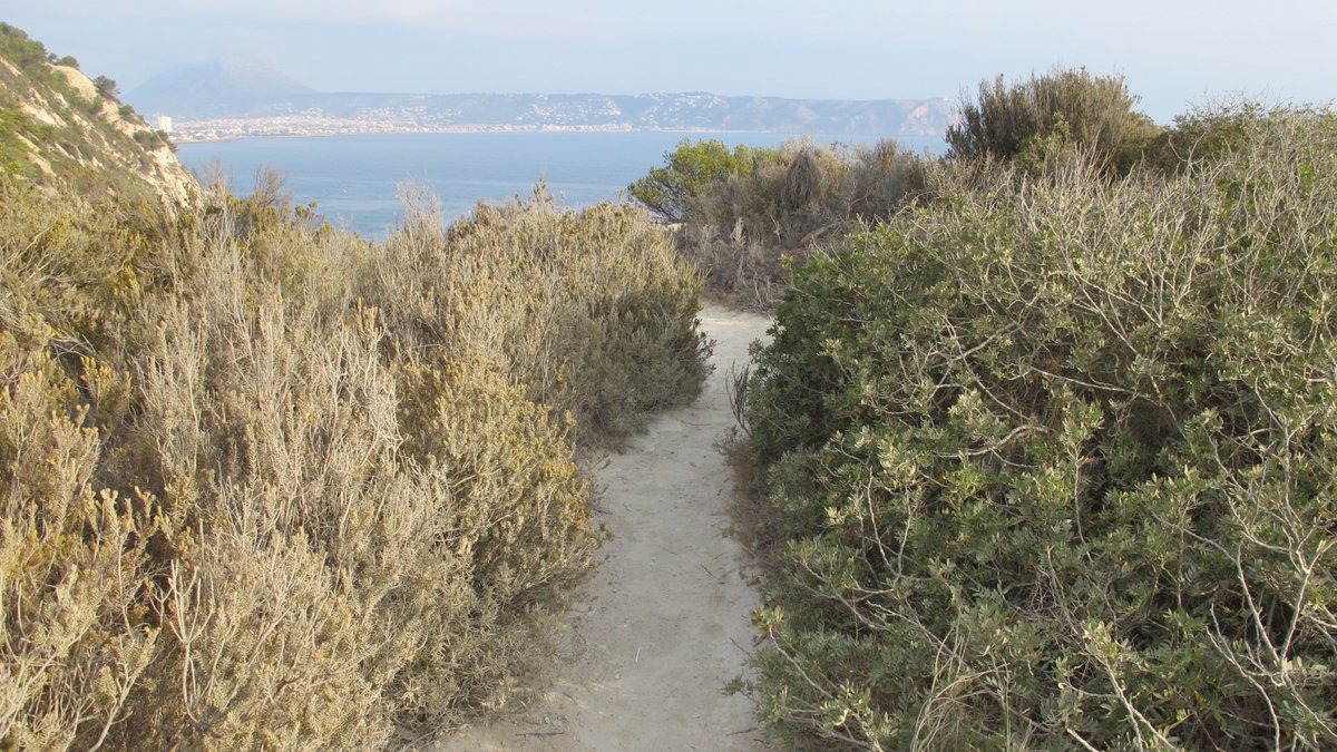 ClickJavea tweet picture