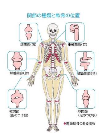 最近関節が好き。
関節全部鳴らせるようになりたい。
関節痛い。