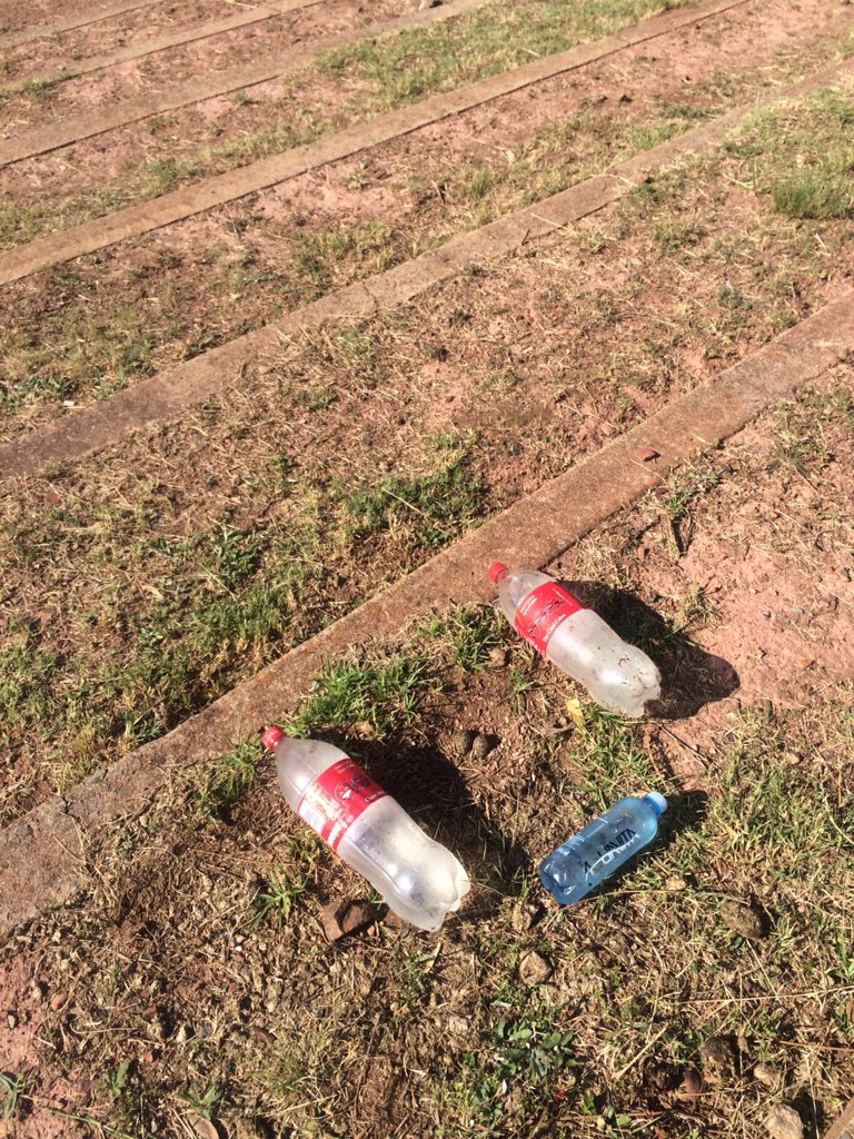 TimPerks85's tweet image. Any ornithologists at the #voortrekkermonument? @MumfordAndSons #savetheeggs