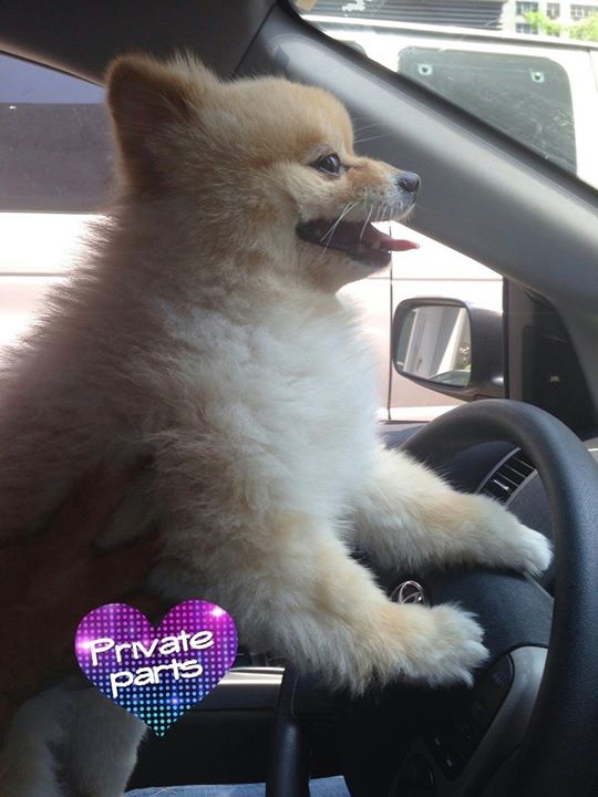 DWCompassion's tweet photo. Look out.  Coming through.  Happy Saturday friends. Its great to be alive on February 6th, 2016. https://t.co/UEycmyorB1