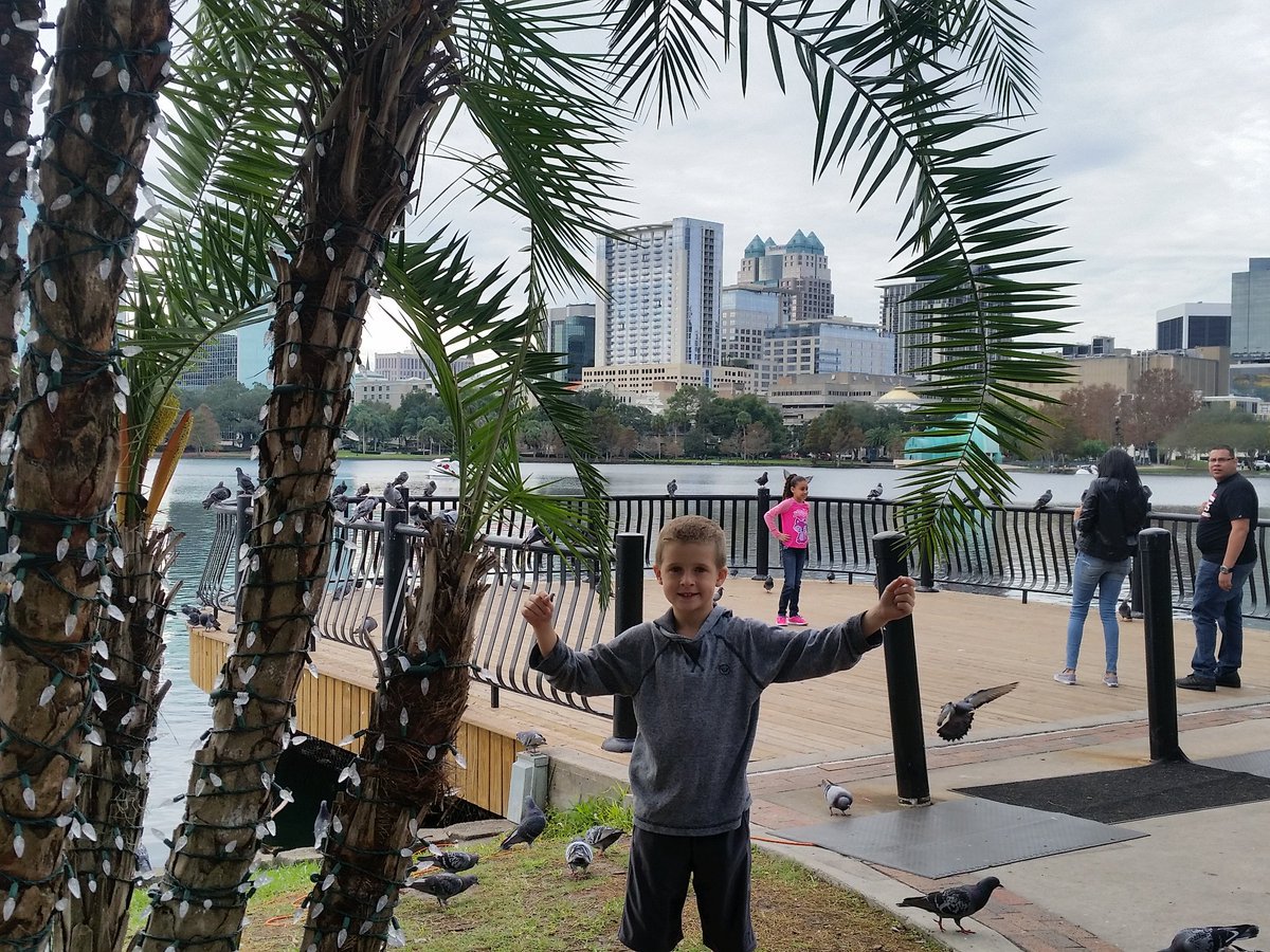 poshableevents's tweet photo. @LakeEolaPark @citybeautiful #ExcitingPlaces https://t.co/g5sz1Ip7Pq