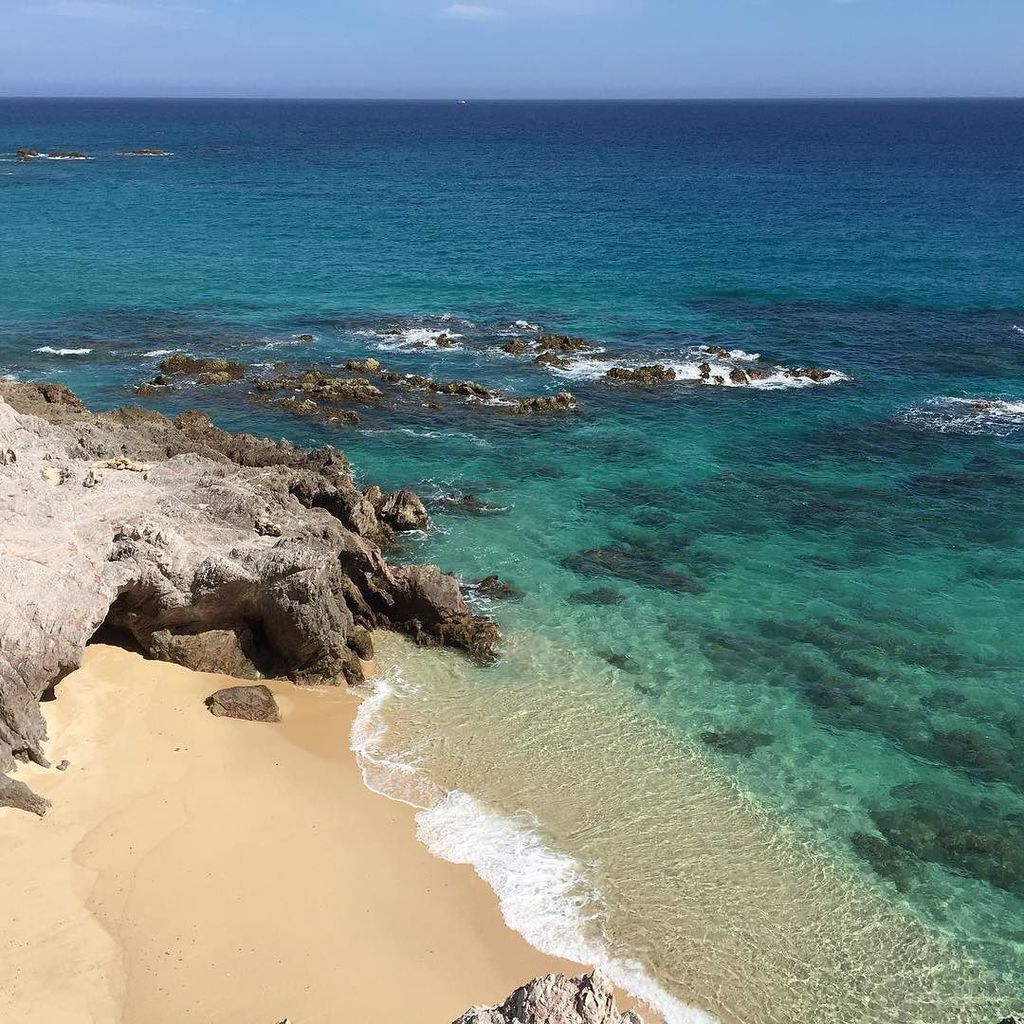 AACabobyBea's tweet photo. Snorkeling anyone? Water is so clear now! #beachlife #loscabos #suncabo by suncabodave https://t.co/lnJjZH3TEe