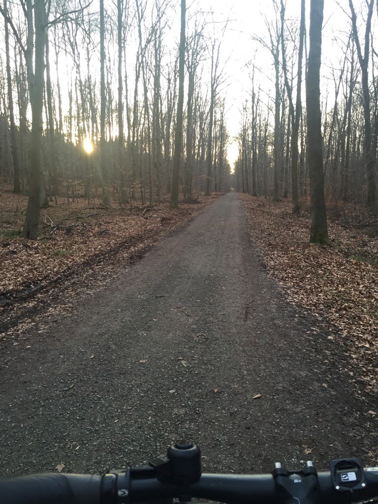 LauritzPreusse's tweet image. Fahrradtour durch den Wald! 🚴🏻😉 #personalway