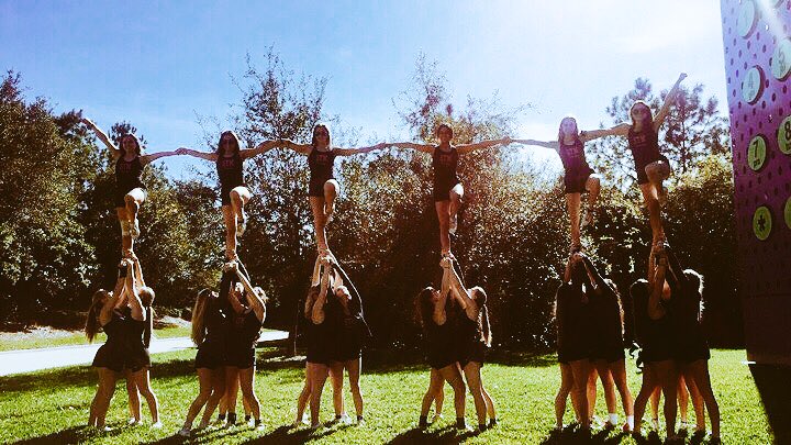 Sam Pittman tweet media