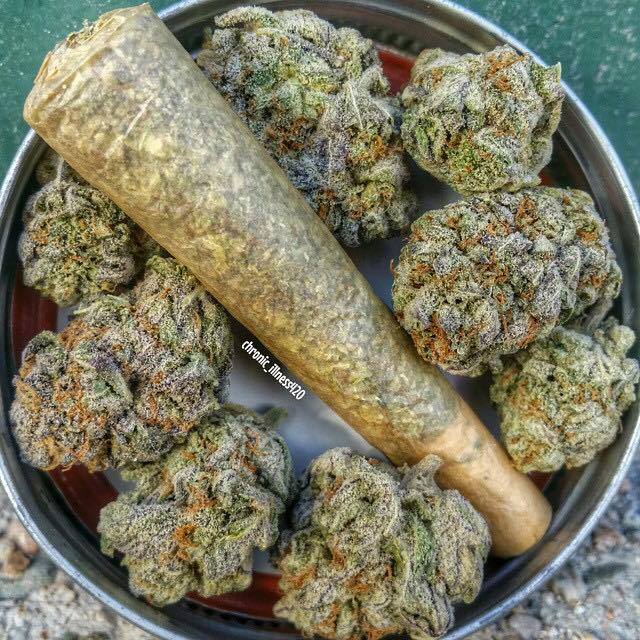 lamotagrow's tweet photo. ¿Estáis listos para el sábado? Dale a “me gusta” y vente a fumar con nosotros el primer porro de la tarde https://t.co/rvGViAI3Uq