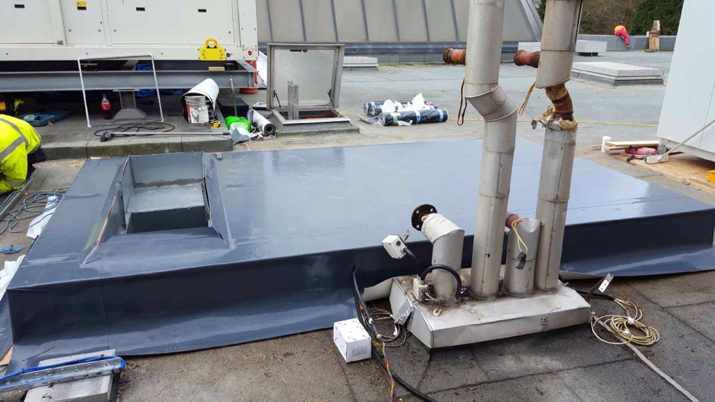 Matt Denton tweet media