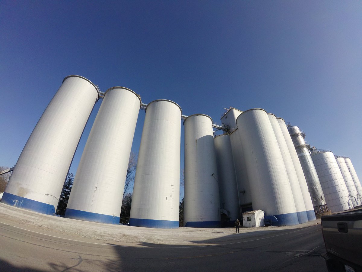 GaulProject's tweet image. 