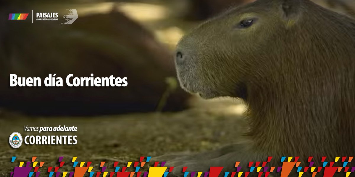 CorrientesGob's tweet photo. Buen día #Corrientes!!! #VamosParaAdelante https://t.co/Bcl5nx815b
