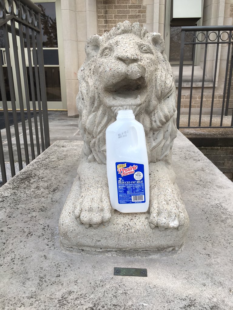 Lions had a wild night last night with some 2% reduced fat milk.