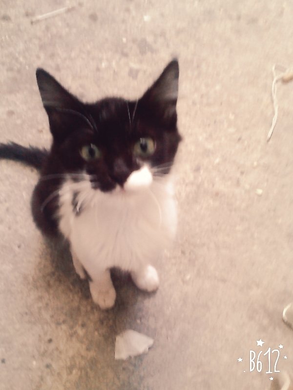 alexabvb's tweet photo. Mi bb ♥ https://t.co/i5VEb3WaSd