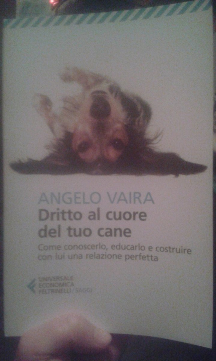 feder1ca88's tweet photo. @AngeloVairaper il mio nuovo cucciolo randagio anche lui si chiama Lucky.Grazie per il tuo prezioso insegnamento ;-) https://t.co/jwrRKri6EA