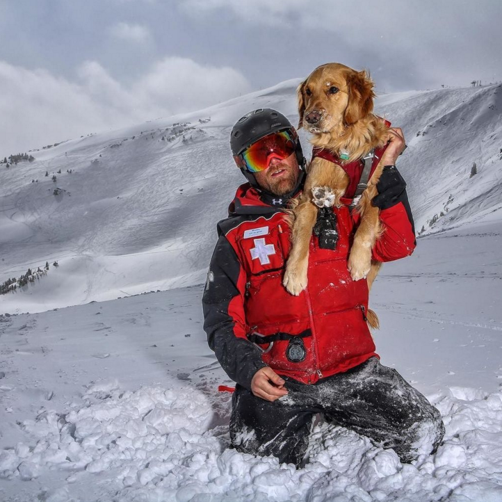 .<a href="/campingwithdogs/">Camping With Dogs</a> is featuring hard working dogs like @masontheavalanchedog who keep you safe on the mountain!
