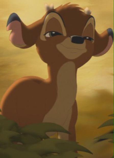 cameronasdisney's tweet photo. https://t.co/b2M93wyTKw