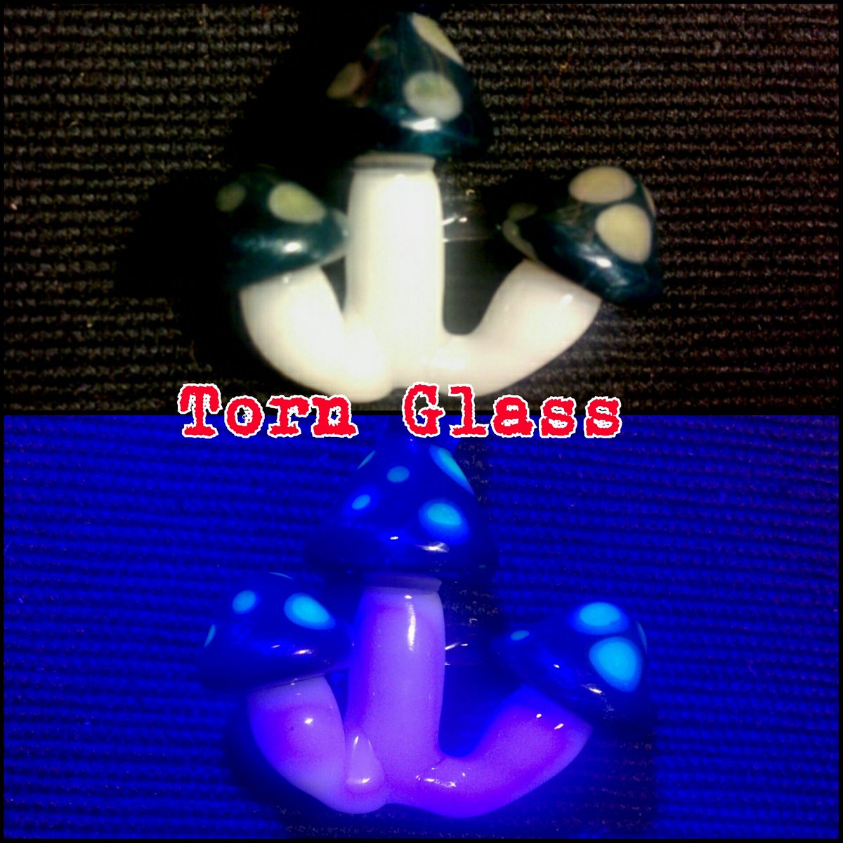 TornGlassStudio's tweet photo. Three Mushrooms Pendant!! #TornGlass #Illuminati #Glassporn #trippy @HIGH_TIMES_Mag @TrippyHippie @GIassPorn https://t.co/0n1pFs48Pe