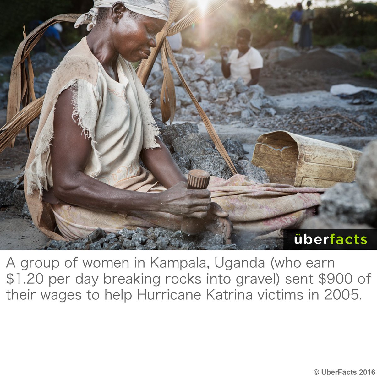 UberFacts's tweet photo. Selflessness. https://t.co/XT1zSJQhrh