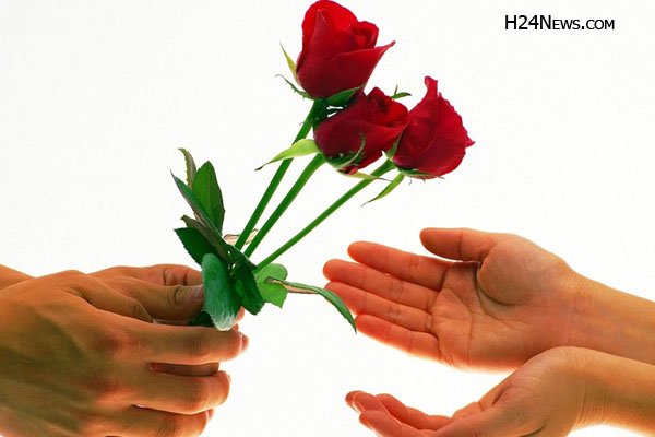 H24NewsIND's tweet photo. Happy #Roseday to all....

https://t.co/j3bMCcvWuN https://t.co/SwYzbBW0Mc