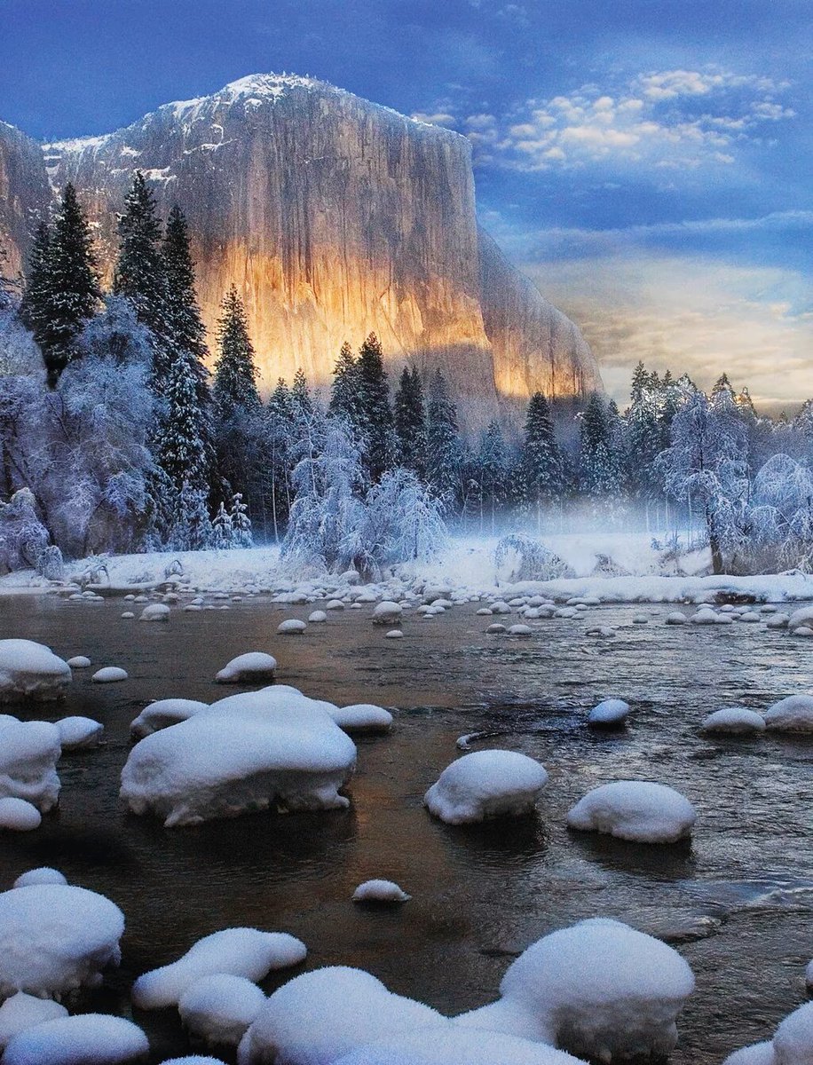 Can Dalöz (@candaloz) on Twitter photo 