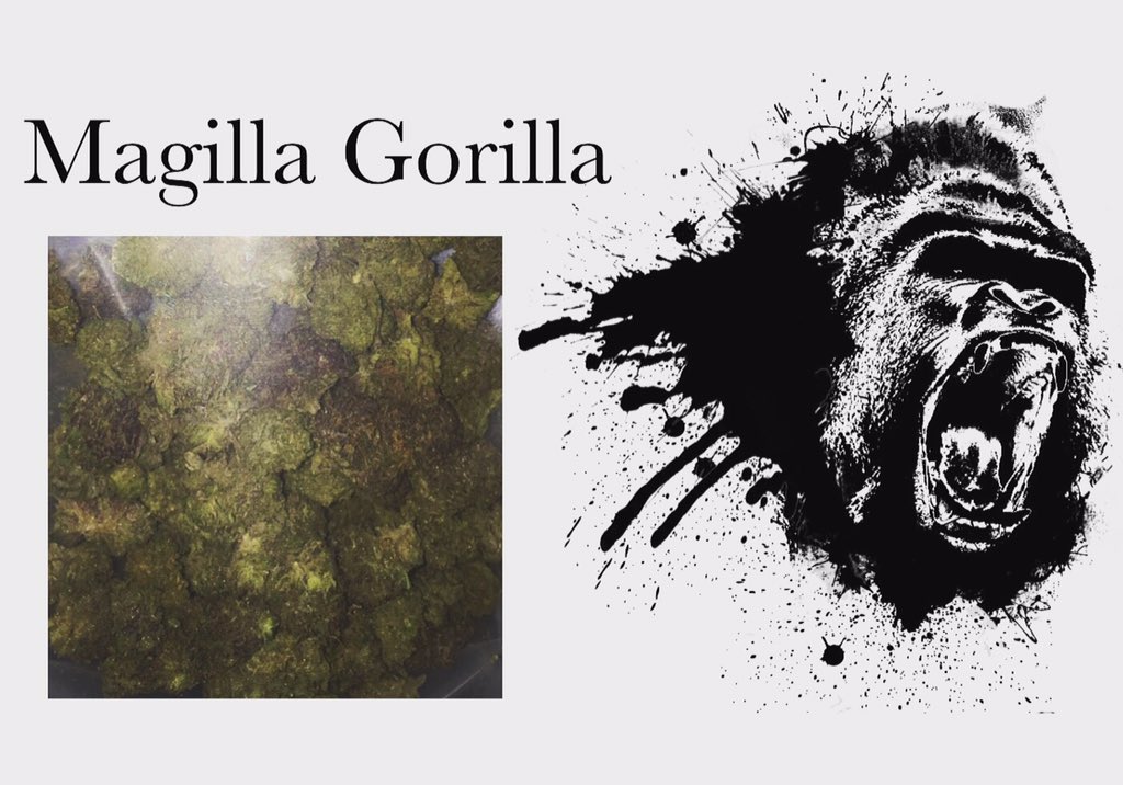 Come get a full #ounce of this amazing #Indica for ONLY $160 <a href="/420_westside/">Westside 420</a> #legalweed #i502 #waweed #bud