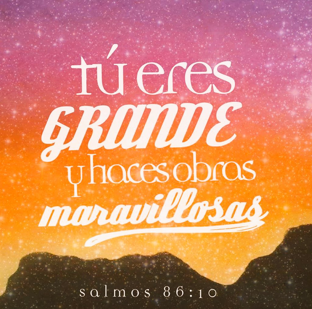 Jesús Nunca Falla tweet media