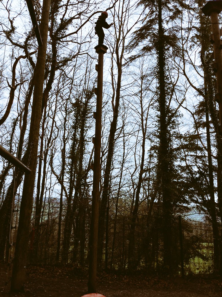 BallGreenPri's tweet photo. Leap of Faith! I made it to the top!!!!  @80angeBrown https://t.co/guRFxGlBMs