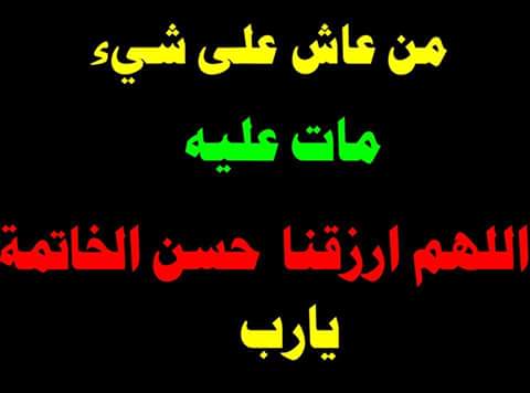 aborashedsror tweet picture