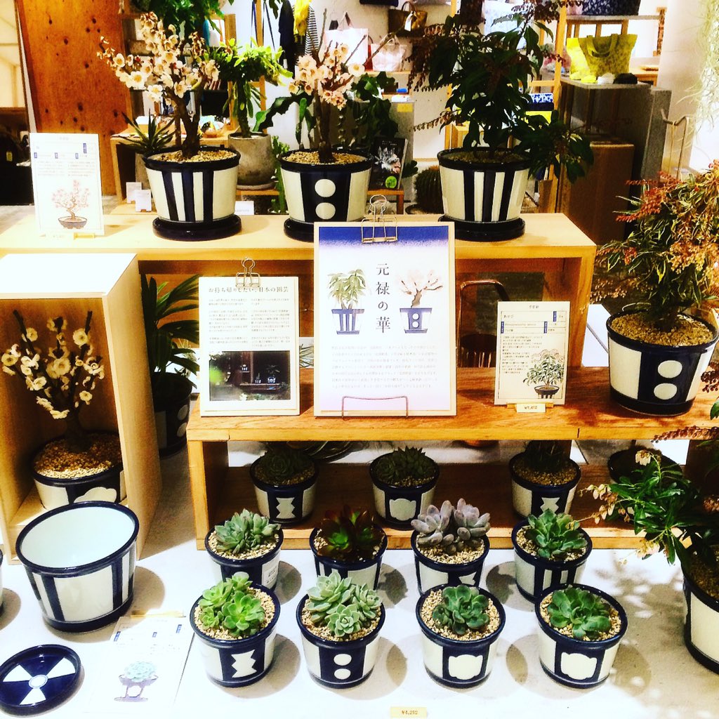 広島parco No Twitter 新館3f 中川政七商店では 新商品 花園樹斎 の取り扱いがスタート 梅の季節ですね 広島パルコ T Co Jxzijrx7sh