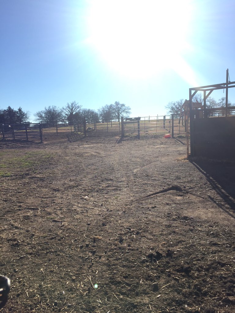 It is a beautiful day at #GCC