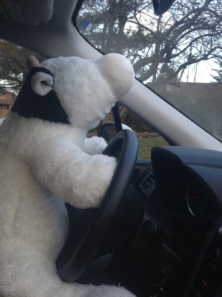 Niki Sproxton tweet media