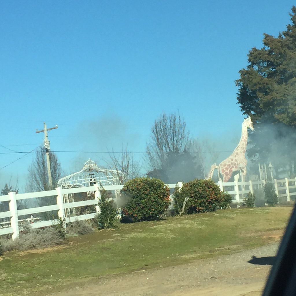 KruegerBusiness's tweet photo. Things you see in Arkansas...#drivingdepth No this isn't a miniature golf course it's someone's house! https://t.co/GtQruVrI4T