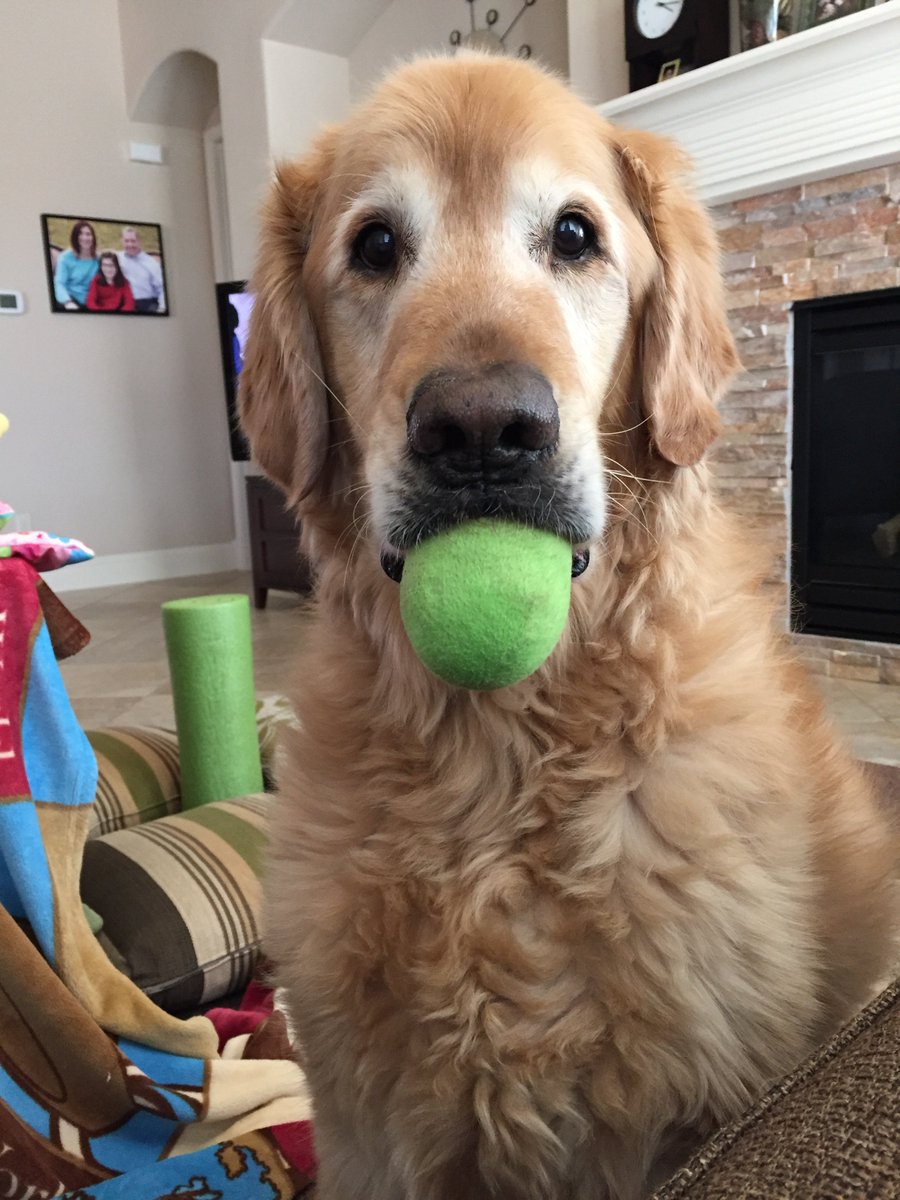 LibraryShellyL's tweet image. You wanted to see me?