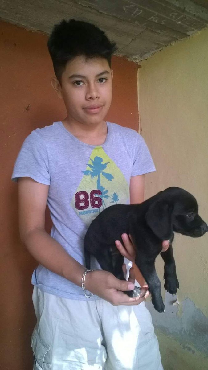 Angel Novelo (@kikechaype13) on Twitter photo 