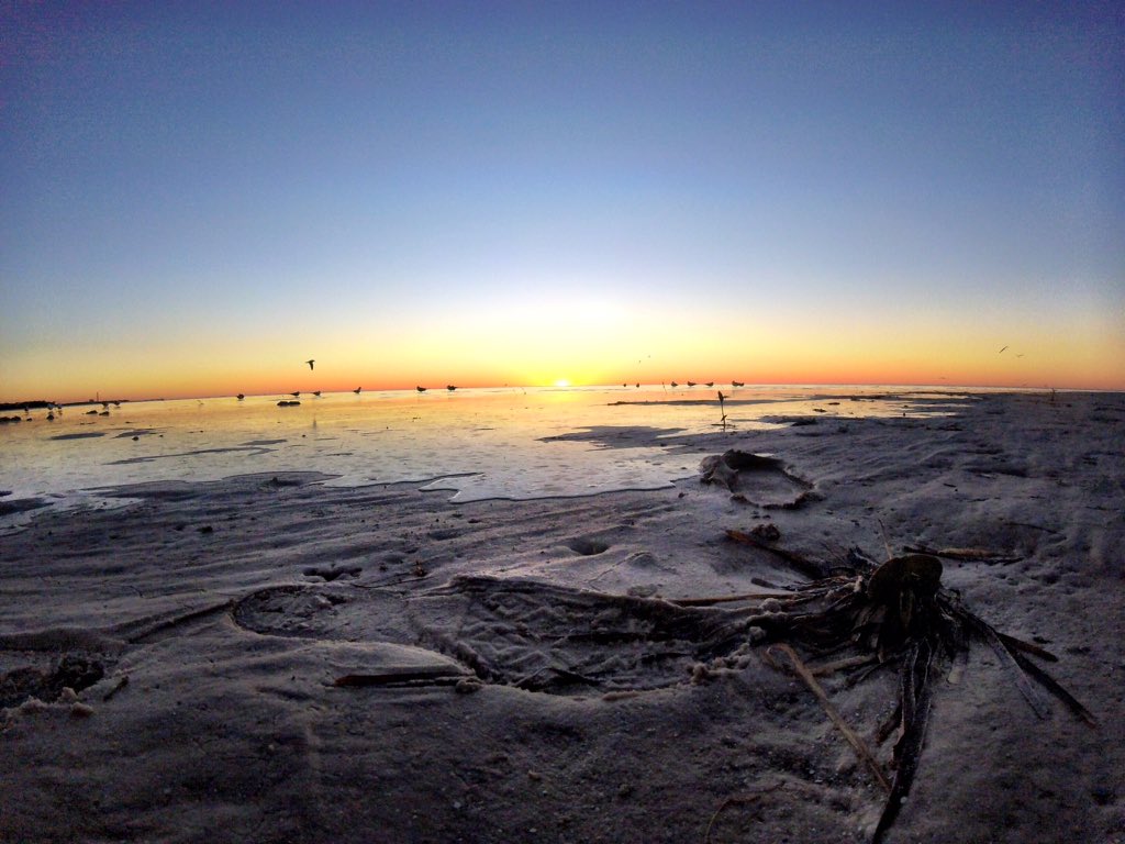 laurencarrollo's tweet image. Florida life 💗 Snapped this beauty with my #GoProHero4Session