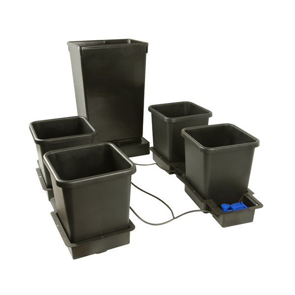 Med Gardener Ltd (@med_gardener) on Twitter photo 