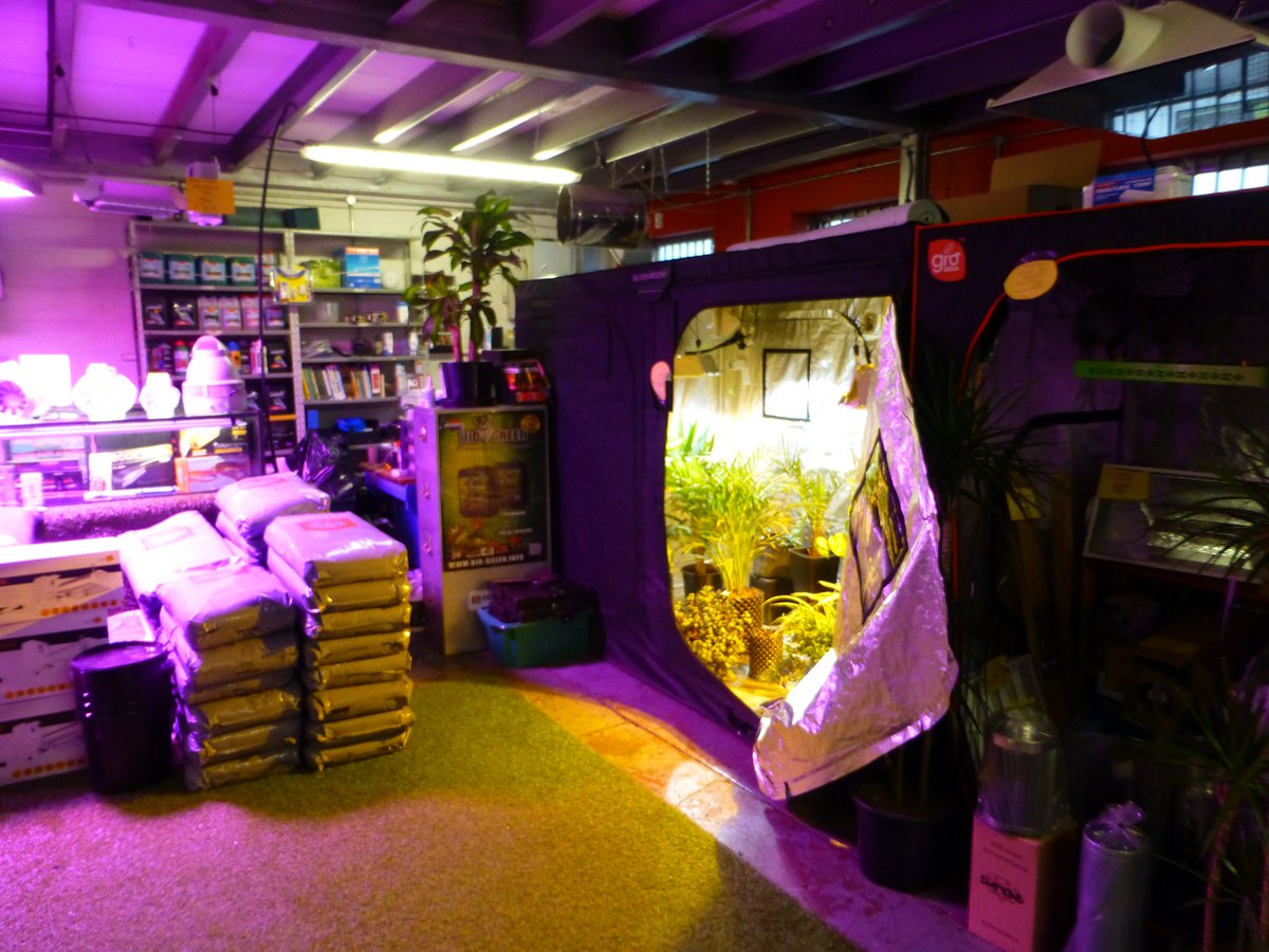 Med Gardener Ltd (@med_gardener) on Twitter photo 