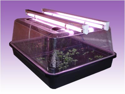 Med Gardener Ltd (@med_gardener) on Twitter photo 