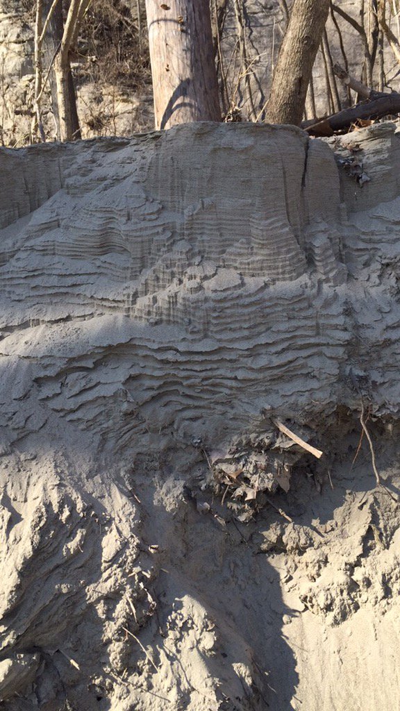 abuschmidt2003's tweet image. Had the greatest time with my family today @ Klondike park w/@SchmidtKarrie @