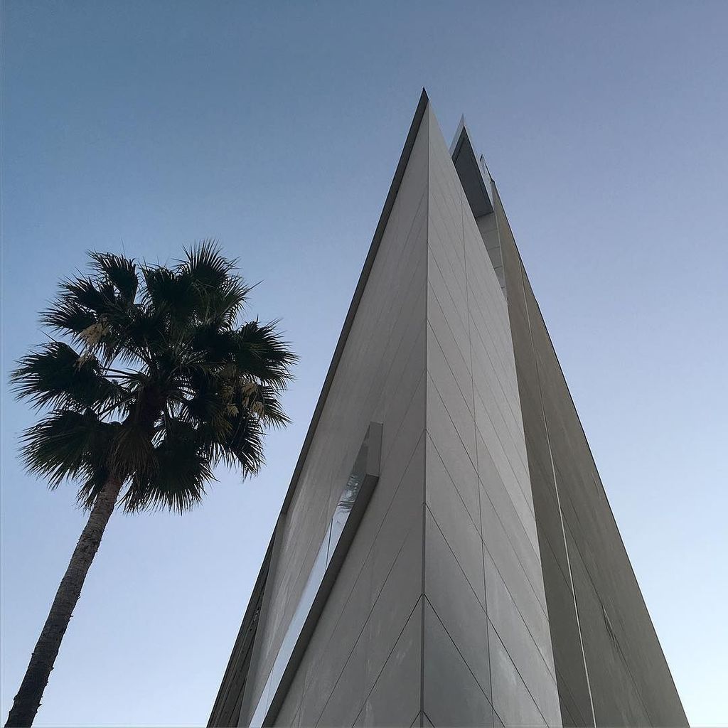 _sledder's tweet photo. #architecture #architecturelovers #la #losangeles #california #lookingup #palmtree #abstract #art #abstractart #abs… https://t.co/uTkB3tivTz