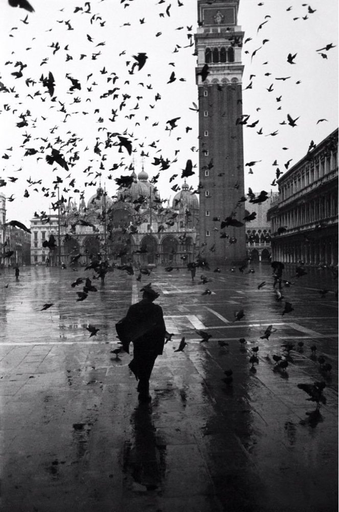 Crazy Hotels tweet media