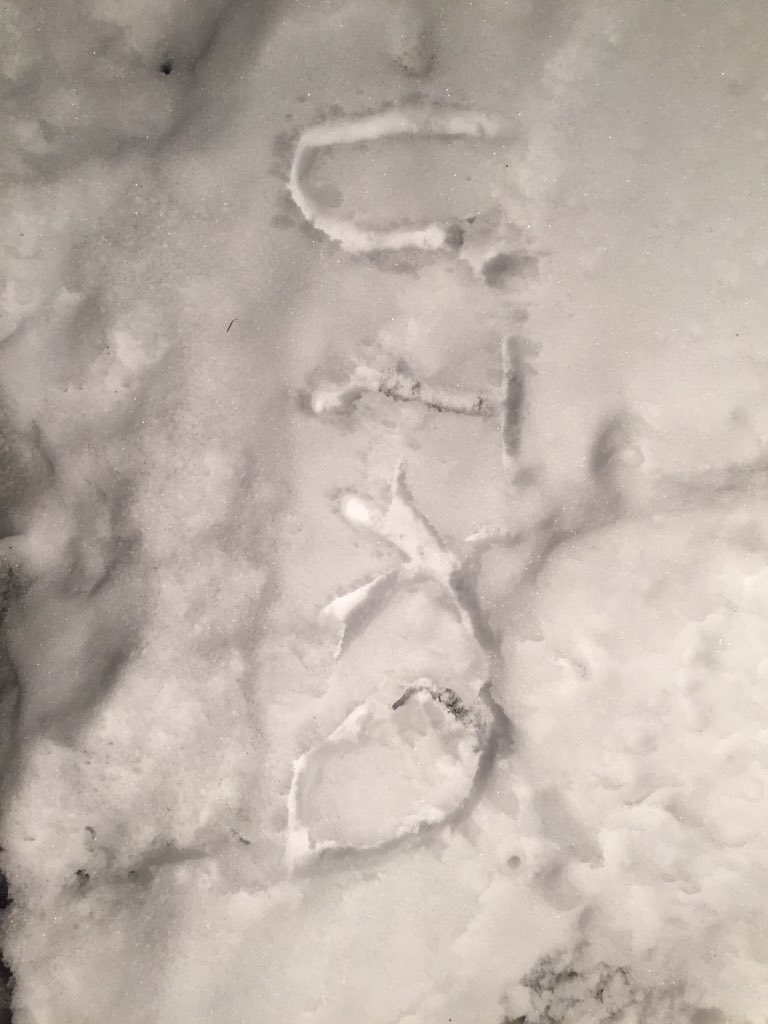 _UTXO_'s tweet photo. Denver https://t.co/6Vv9KIEYH3
