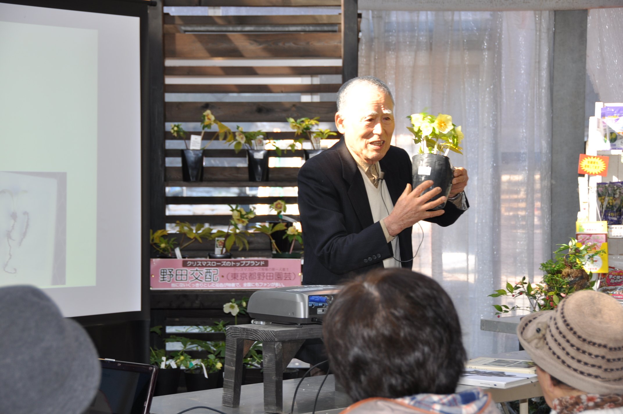 公財 鹿沼市花木センター公社 野田園芸 野田卯一郎 氏によるクリスマスローズ講習会始まりました T Co Bjvbjgo4as Twitter