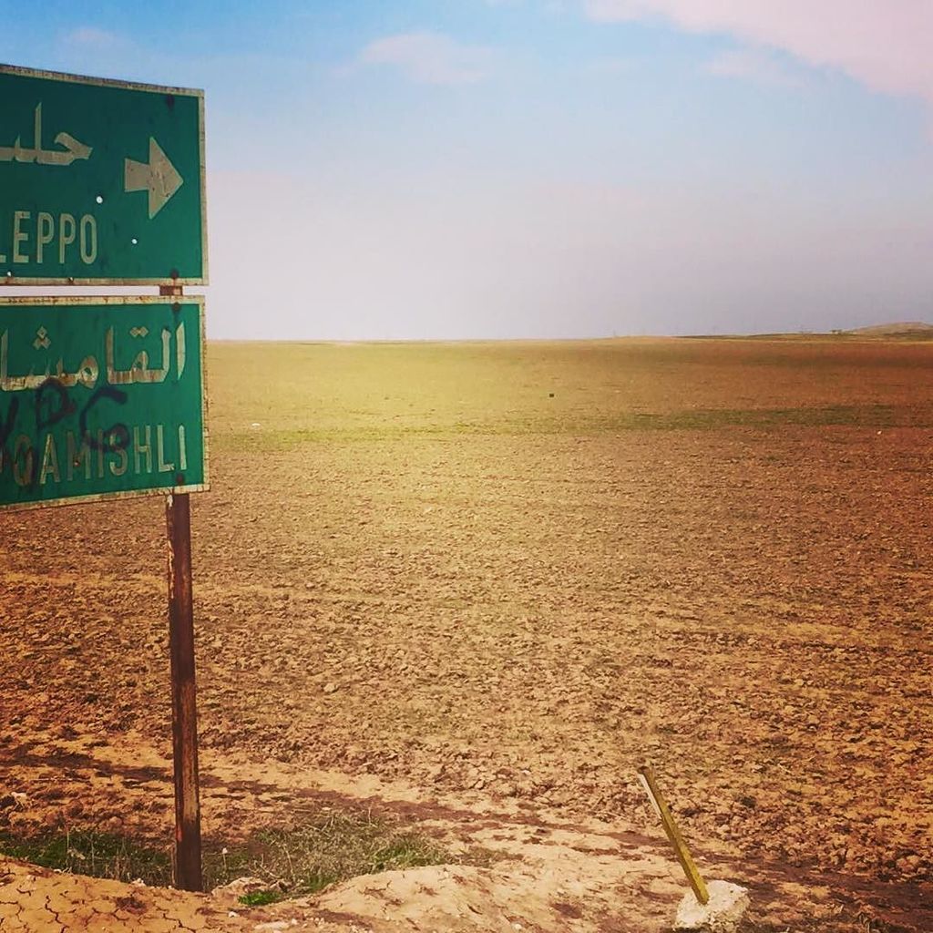 Brave Bags tweet media