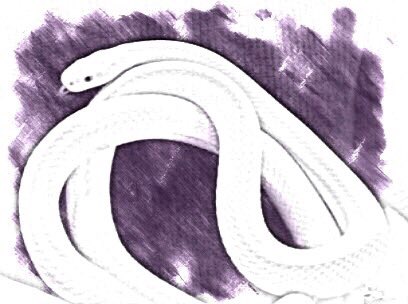白蛇のtwitterイラスト検索結果 古い順